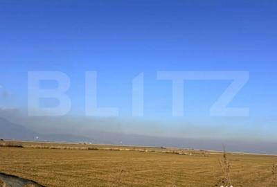 Teren de 10000 mp, în Cristian - 2