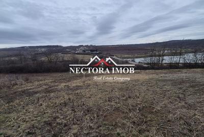 Spațiu comercial, în Paleu - 1