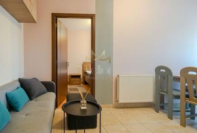 Apartament cu 2 camere decomandat, mobilat în Someșeni - 12