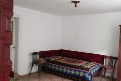 Casă cu 3 camere cu Teren 1600 Mp în Roșia de Secaș - 5