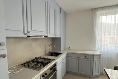 Sau inchiriez apartament cu 2 camere, zona rezidentiala V.Borcotului Sau inchiriez apartament cu 2 camere, zona rezidentiala V.Borcotului - 1