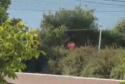 Casă cu 8 camere cu Teren 500 Mp în Central - 3