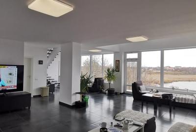 Peris Lac - Vila cu deschidere lac teren 3500mp - 8