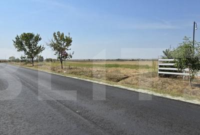 Oportunitate Investitie, Teren intravilan 15000 mp, zona Mis - 3