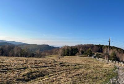 Spațiu comercial, în Damiș - 12