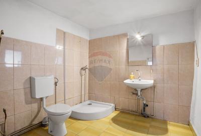 Casa si teren 2173 mp de vanzare in Tipar , la 12km de Chisineu Cris - 15