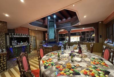 Casă individuală cu 8 camere cu Canalizare în Becicherecu Mic - 5