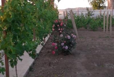 Casă individuală cu 3 camere cu Teren 300 Mp în Horia - 20