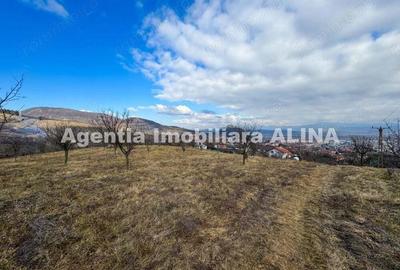 15 parcele de Teren intravilan in Deva, zona Calugareni, Strada Prunilor, Jud. Hd, cu PUZ, PUD, etc. - 1