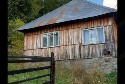 Vand casa in localitatea BAIUT - 2