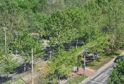Inchiriere apartament 2 camere Bucuresti Pallady zona N, Grigorescu - 10