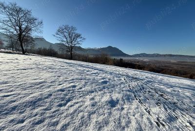 Teren de 500 mp, în Tohănița - 2