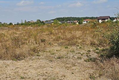 Teren de 744 mp, în Corbeanca - 1