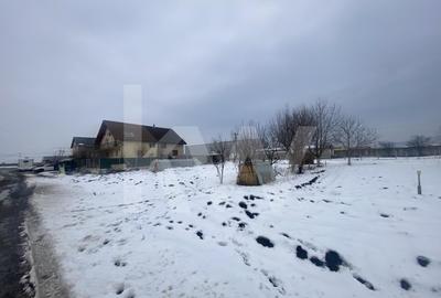 Teren Construcții intravilan de 500 mp, în Veterani - 4