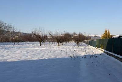 Casă cu 4 camere în Central - 4