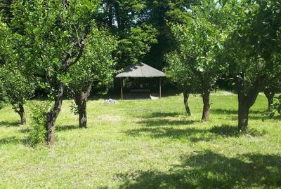 Teren extravilan  de vanzare | 4288 mp | in Gusterita - 2