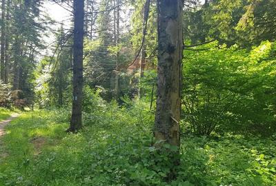 Teren de 56000 mp, în Central - 7