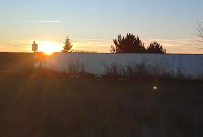 Teren de 980 mp, în Ciorogârla - 4