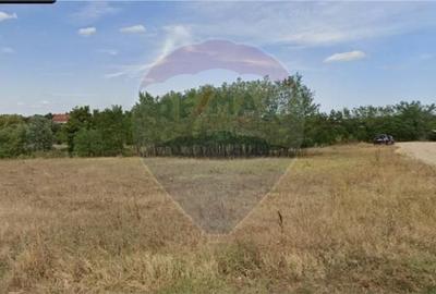 Teren vedere la lac 4285mp, cu certificat de urbanism - 2