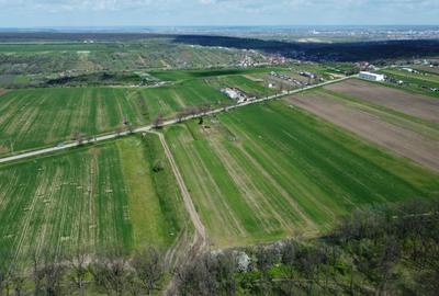 Spațiu comercial, în Bucovăț - 4