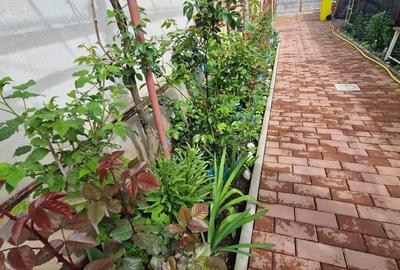 Casă cu 5 camere în Central - 9