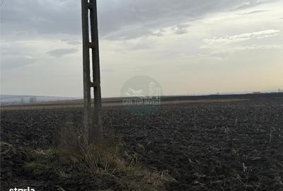 Spațiu comercial, în Șura Mică - 2