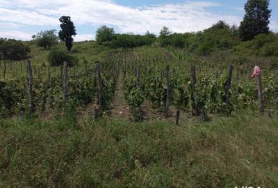 Casă cu 6 camere în Priseaca - 1