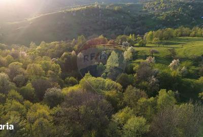 Teren de 15459 mp, în Bughea de Sus - 8