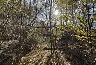 TEREN INTRAVILAN 13167 MP BUGHEA DE SUS ARGES - 1