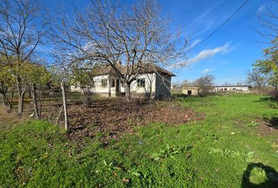 Teren Construcții intravilan de 1914 mp, în Ciocârlia de Sus - 3