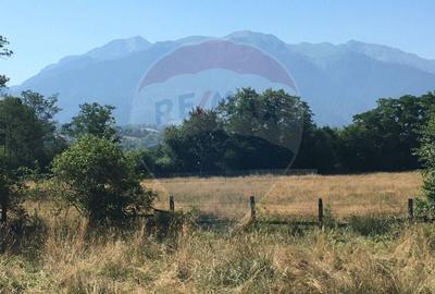 Teren Bran -Sohodol, Strada La mesteceni, 6900mp