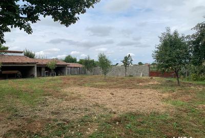 Casă cu 6 camere în Belinț - 3