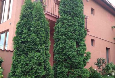 Casă cu 4 camere în Central - 6