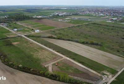 Spațiu comercial, în Moșnița Nouă - 8