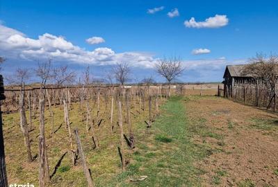 Casă în Șilindru - 8