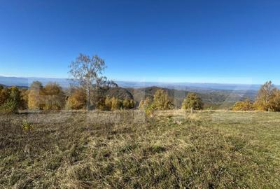 Teren extravilan 6.360 mp in Tarsa - 3