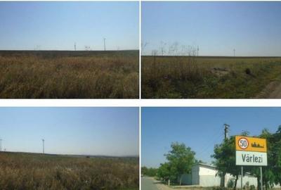 Teren extravilan Varlezi, cota parte 1/4, ID: R2730271 - 13