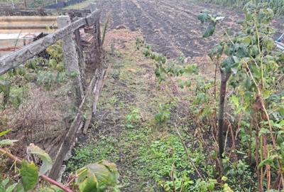 Casă cu 3 camere cu Teren 803 Mp în Hălchiu - 3