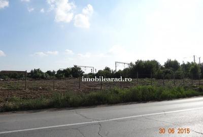 Teren construcție, în Sânnicolau Mic - 15