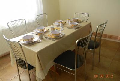 Casă cu 6 camere cu Teren 350 Mp în Vladimirescu - 2