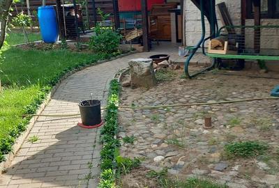 Casă cu 4 camere cu Teren 500 Mp în Paleu - 2
