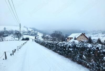 Casă cu 5 camere cu Teren 4200 Mp în Poiana Mărului - 1