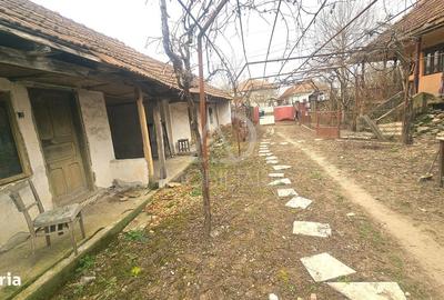 Casă cu 3 camere cu Teren 3019 Mp în Lelești - 4