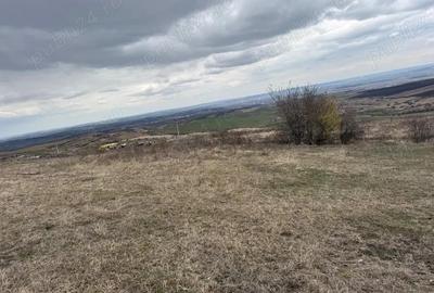 Teren de 2200 mp, în Săndulești - 4