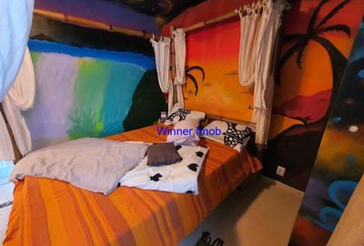 Inchirieri Apartamente 2 camere CARTIERE DRISTOR Inchirieri Apartamente 2 camere CARTIERE DRISTOR - 5