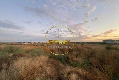 1250 mp, Berceni, Dealul Crisului, oportunitate investitie - 9