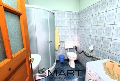 Spațiu comercial, de 250 mp, în Șmig - 17