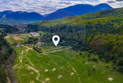 Teren Construcții intravilan de 10000 mp, în Brebina - 1