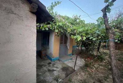 Casa batraneasca + teren - 4