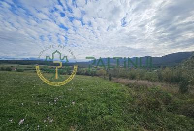 Teren de vanzare ,Tocile, Sibiu, case de vacanta si locuinte - 8